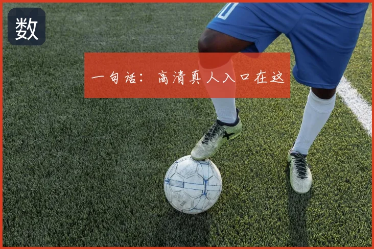 一句话:高清真人入口在这